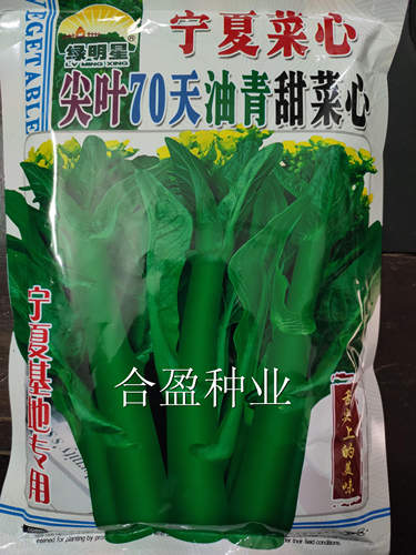 四季400克绿明星宁夏70天用菜心