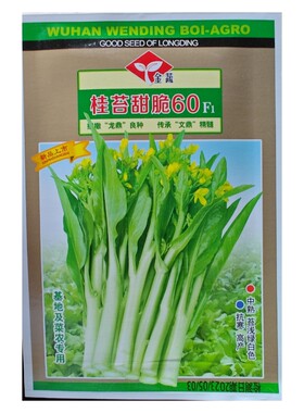 10克金蔬精选杂交一代桂苔甜脆60天白菜苔白菜心种子白菜臺