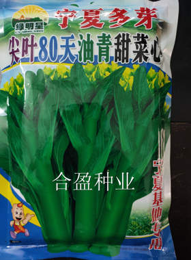四季400克绿明星宁夏菜心尖叶80天油青甜菜心种子宁夏基地用种