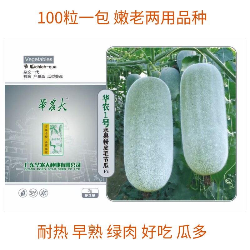 100粒华农大华农1号水果粉皮毛节瓜种子绿肉嫩老两用迷你小冬瓜种