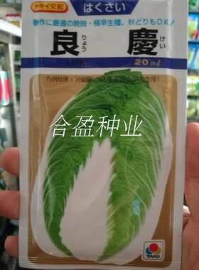 良庆春大白菜种子13g香港多利耐抽苔性能好黄清河春秋播种春白菜