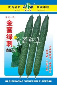 10克爱普农金蜜绿刺杂交绿肉黄瓜种子油亮形绿肉青瓜种子