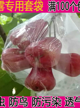 莲雾套袋专用纸袋半透明开窗套袋