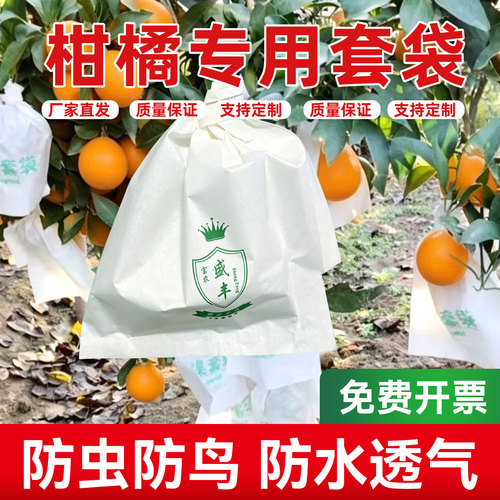 橘子无花果草莓用水果防冻防水袋