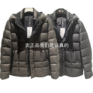 CD1561312九牧王专柜正品2025秋冬新款男商务休闲羽绒服CD1561322