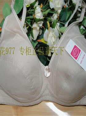 5件包邮帕妮莉8501 B杯后三排扣适合丰满女性全棉舒适文胸