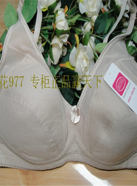 帕妮莉三排扣丰满全棉文胸