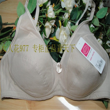 5件包邮帕妮莉8501 B杯后三排扣适合丰满女性全棉舒适文胸