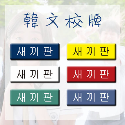 韩文胸牌韩国名札那年我们的夏天胸牌 名札纯色胸牌韩文名札礼物