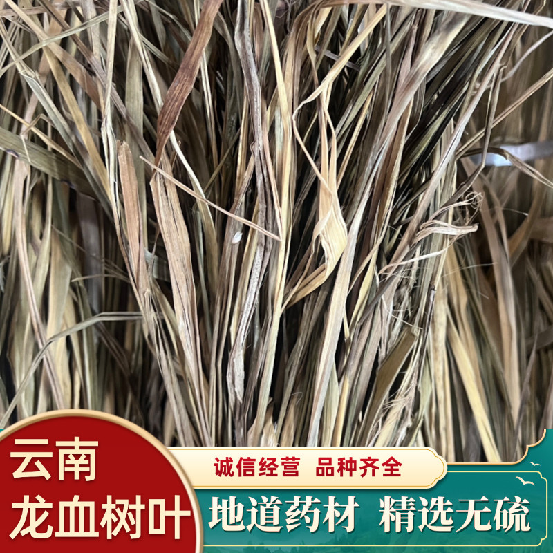 云南龙血树叶 龙血草 龙血叶龙血草龙血草包邮云南产地货