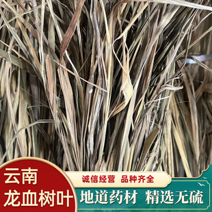 云南龙血树叶  龙血草 龙血叶龙血草龙血草包邮云南产地货