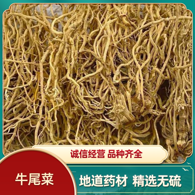 云南大伸筋 牛尾菜牛尾蕨牛尾结大通根 牛尾决 一抓根 千条根