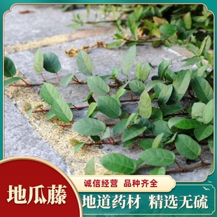 云南高山药材地瓜藤无添加无污染无硫500克干品地板藤地石榴包邮