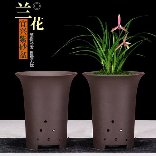 透气养根适合植物生长紫砂花盆