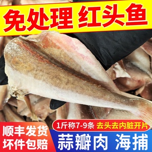 红头鱼新鲜冷冻去头去内脏烧烤食材商用海鲜水产鱼类整箱大红头鱼
