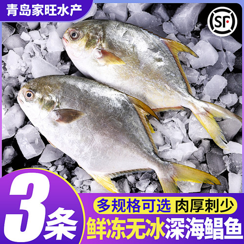 新货！新鲜！肥！肉多刺少！够称