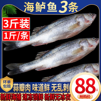 新鲜海鲈鱼肉多刺少3条装