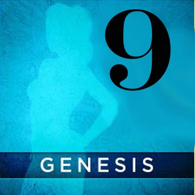 daz studio G9基础模型 GENESIS9创世9 远程代安装问题解决