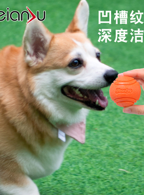 Meianju宠物玩具球 耐咬高弹实心球狗狗啃咬磨牙玩具投掷寻回训球