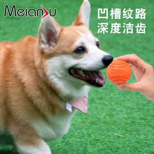 Meianju宠物玩具球耐咬高弹力