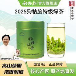 2025新茶江西特产遂川狗牯脑茶叶特级绿茶高山春茶100g实惠口粮茶