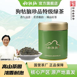 2025新茶正宗遂川狗牯脑茶叶珍品特级绿茶江西高山云雾春茶100g