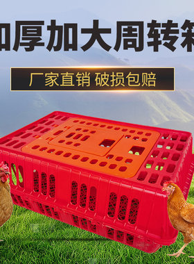 鸡笼塑料周转箱成鸡鸭鹅运输筐加厚大码鸡笼鸡鸭鹅鸽笼周转运输笼