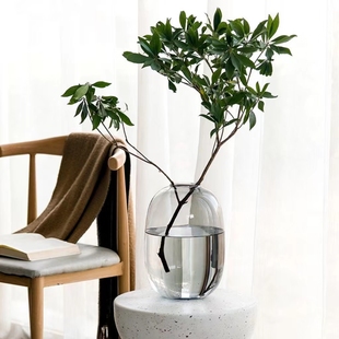 高级感玻璃花瓶吊钟水培马醉木水养雪柳鲜花插花客厅摆件落地装饰