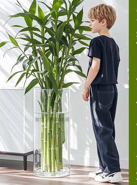 超大富贵竹花瓶高405060cm大号落地特大号大口径透明玻璃水培器皿
