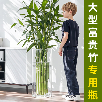 超大富贵竹花瓶高405060c