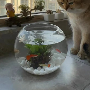 创意圆形玻璃鱼缸透明大号桌面加厚乌龟缸金鱼缸水培客厅风水招财
