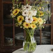 花瓶摆件客厅插花北欧ins风玻璃透明鲜花水养创意喇叭口桌面大口