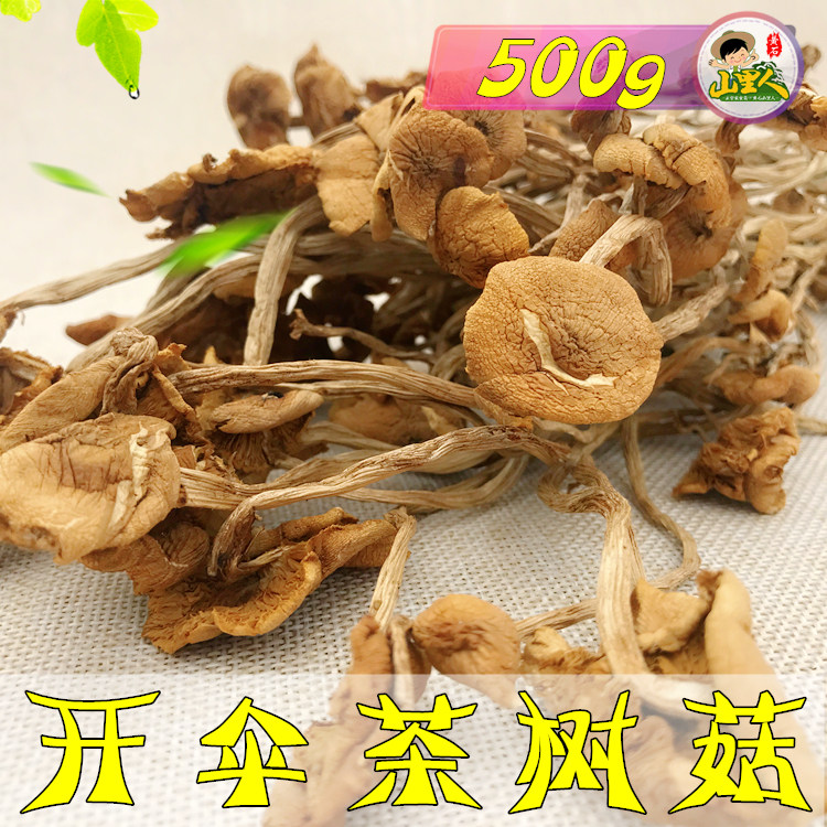 新货农家精选茶树菇开伞茶薪菇 500g 香菇古田特产干货 特价包邮