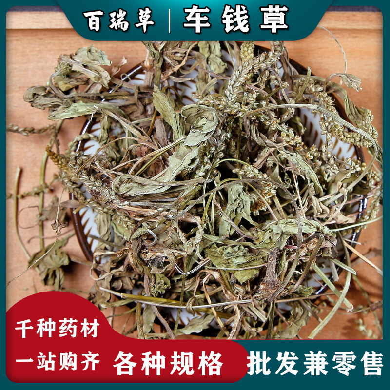 【百瑞草】车前草 中药材 车钱草泡水喝 另车前子金钱草