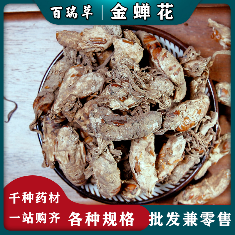 【百瑞草】金蝉花 金蚕花蝉花知了花虫草粉 中药材