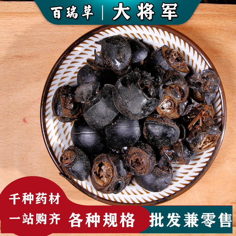 【百瑞草】大将军 中药材 屎壳郎 圣甲虫 推粪虫
