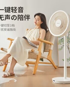 日本amadana艾曼达电风扇空气循环扇落地立式轻音电扇C7/充电Y-A