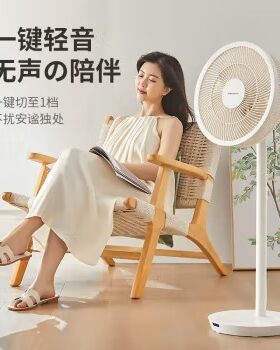 艾曼达落地立式家用微静音电扇