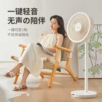 艾曼达落地立式家用微静音电扇