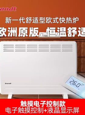 白朗全屋供暖欧式快热炉取暖