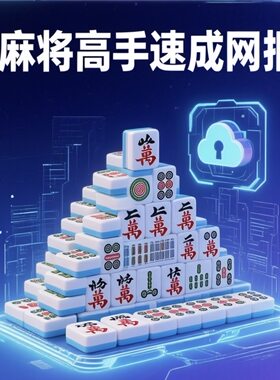 麻将初级课程同款麻将学 麻将高手速成网盘视频