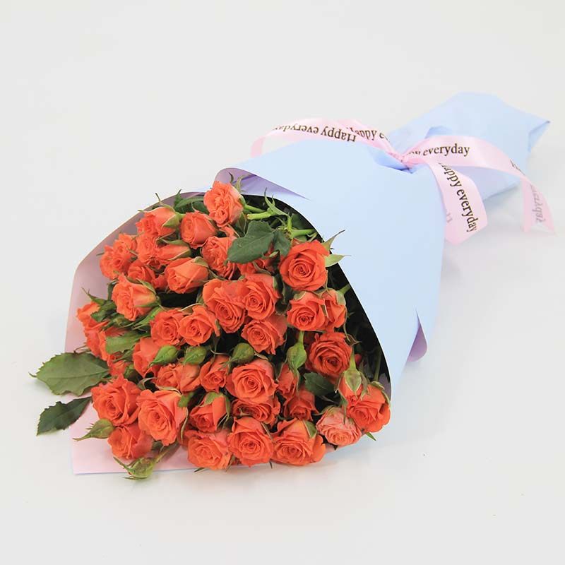 网友分享在meiguo.com的图片