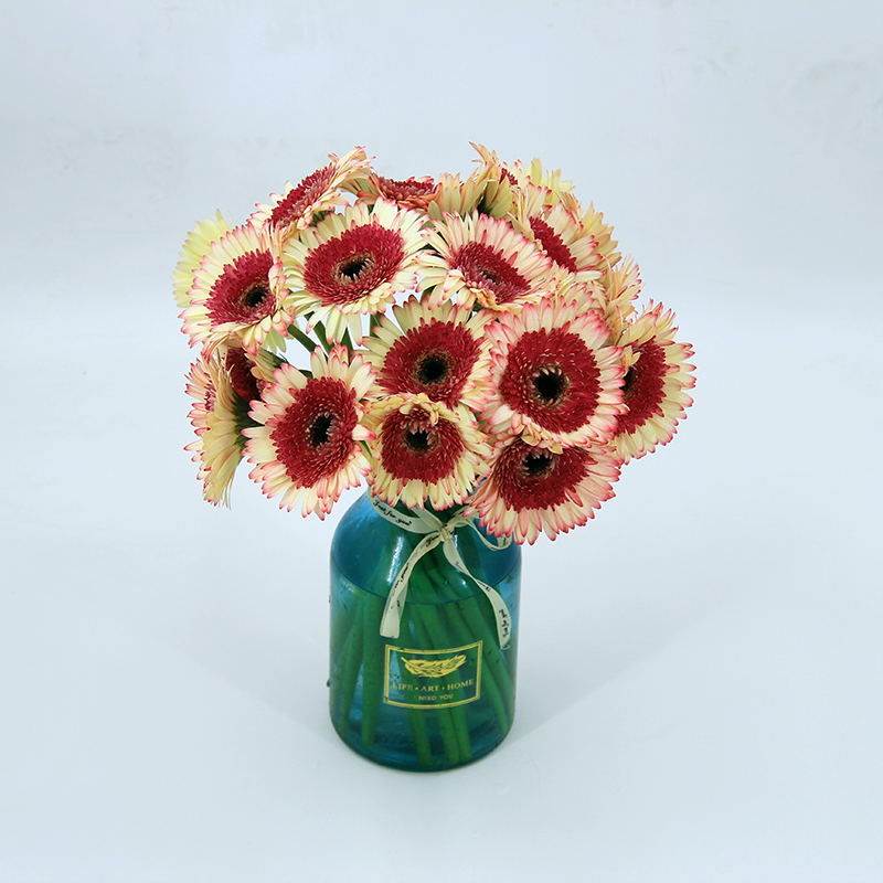 网友分享在meiguo.com的图片