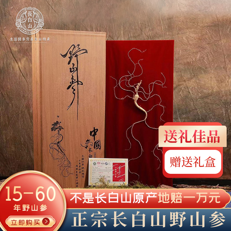 东北石柱参鉴定干参60CM高龄野山参煲烫西洋参园籽参40公分硬纸盒