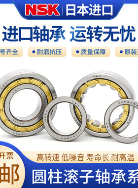原装进口日本NSK圆柱滚子轴承 NUP218 222 224 226 228EW EM C3