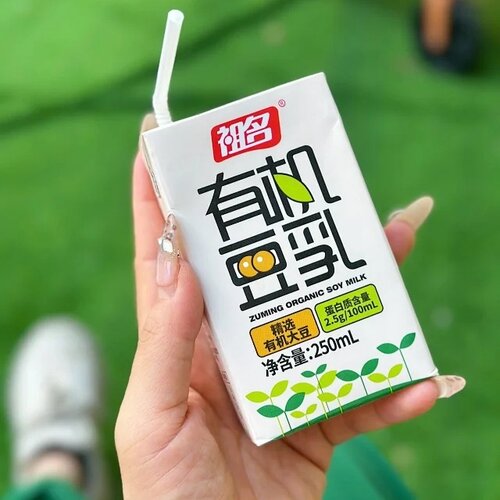 祖名有机豆乳250ml*10盒装豆奶豆浆植物蛋白营养早餐饮品