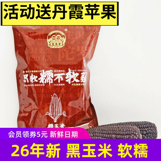 26年新玉米 玉米兄弟有机黑玉米软糯香甜苞米东北特产