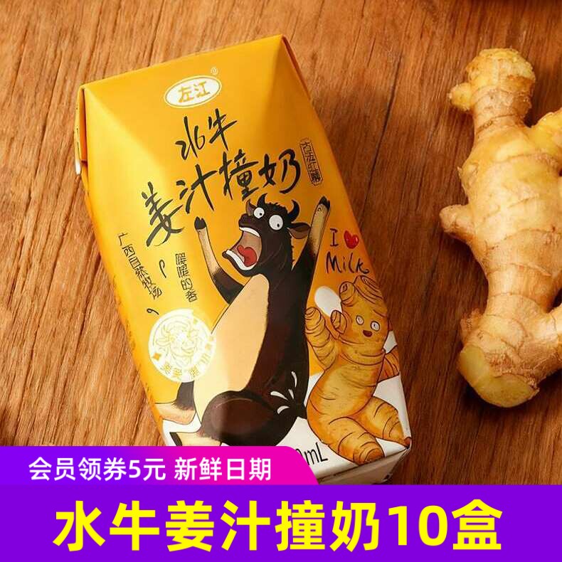 左江水牛姜汁撞奶210ml×10盒/箱红糖生姜牛奶生水牛乳