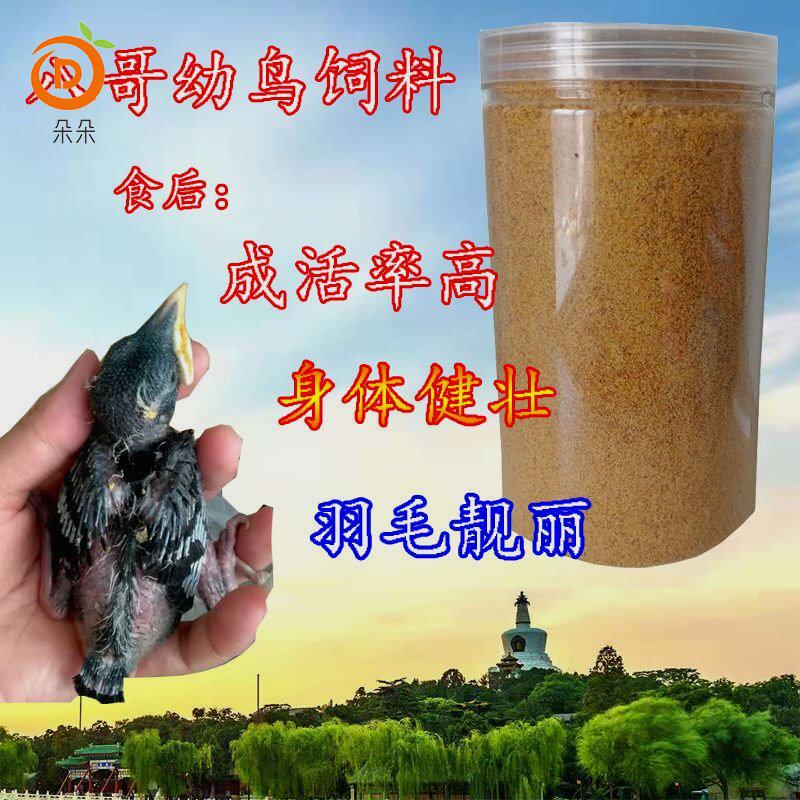 包邮八哥幼鸟海八哥鹩哥雏鸟食粉状幼鸟粮乌鸫喜鹊画眉幼鸟食
