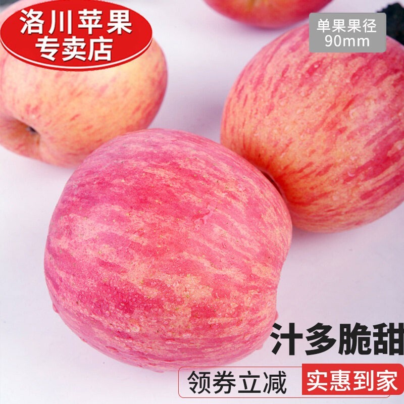 正宗陕西洛川苹果新鲜红富士脆甜多汁整箱9枚90mm特大果品相款